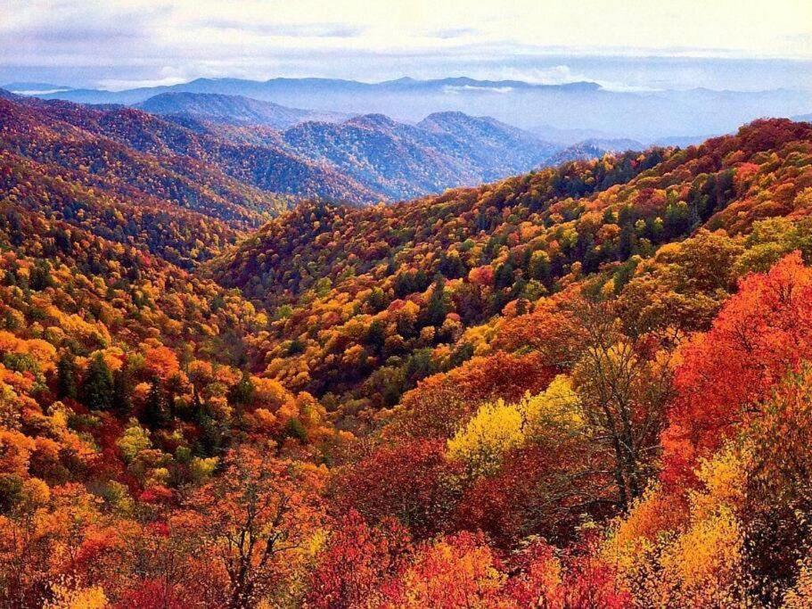 Whiskey Ridge Lodge, A Restored 1940S Gem, 2 Mins From Downtown, Breathtaking City Views, Custom Game Room, And Spacious Elegance Gatlinburg Bagian luar foto